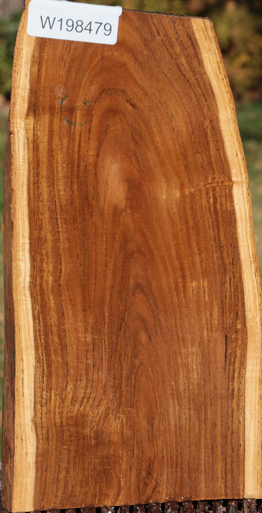 Crotchwood Teak Live Edge Lumber