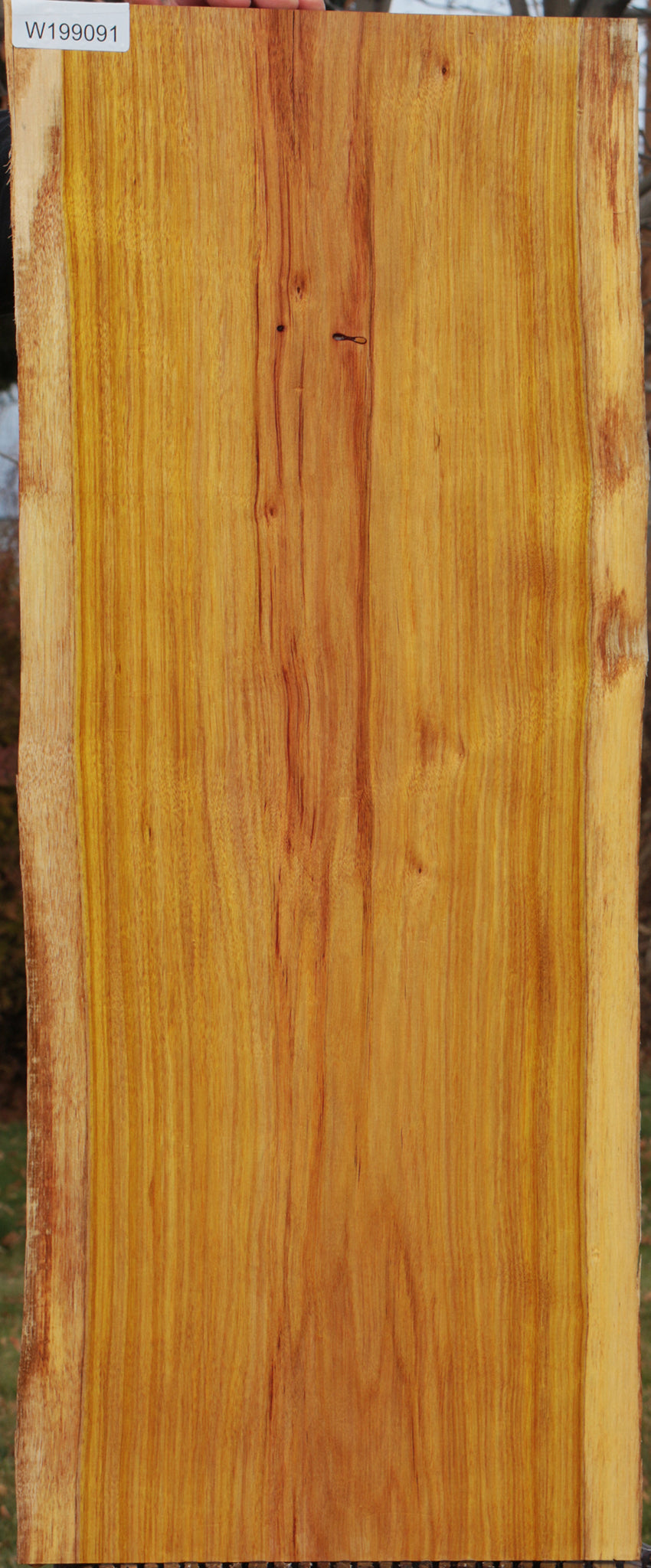 Canary Live Edge Lumber