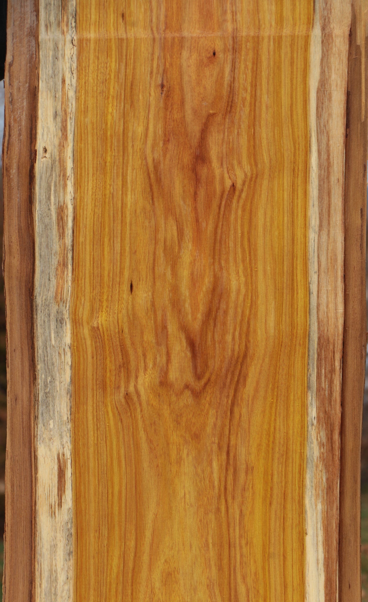 Canary Live Edge Lumber