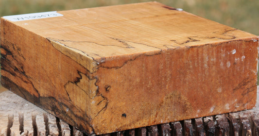 Spalted Tamarind Bowl Blank