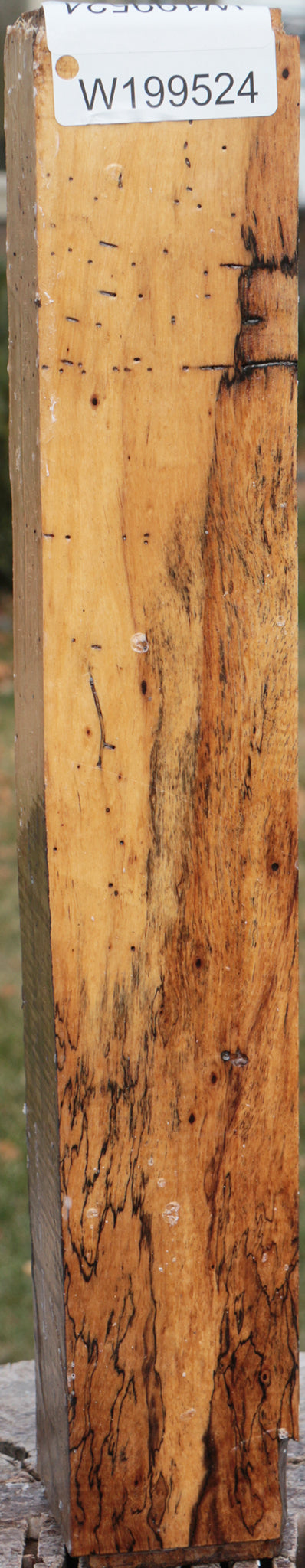 Spalted Tamarind Peppermill