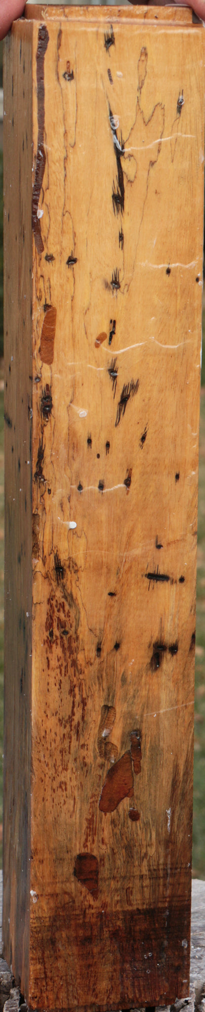 Spalted Tamarind Peppermill