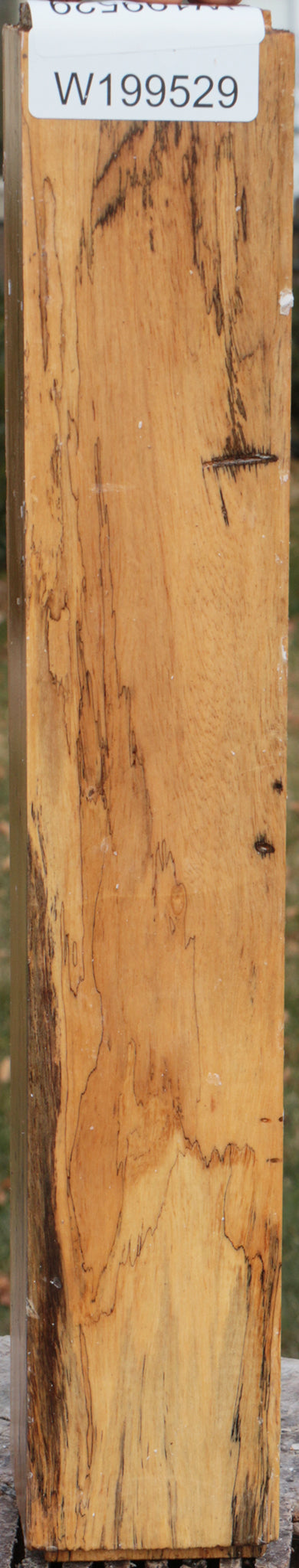 Spalted Tamarind Peppermill