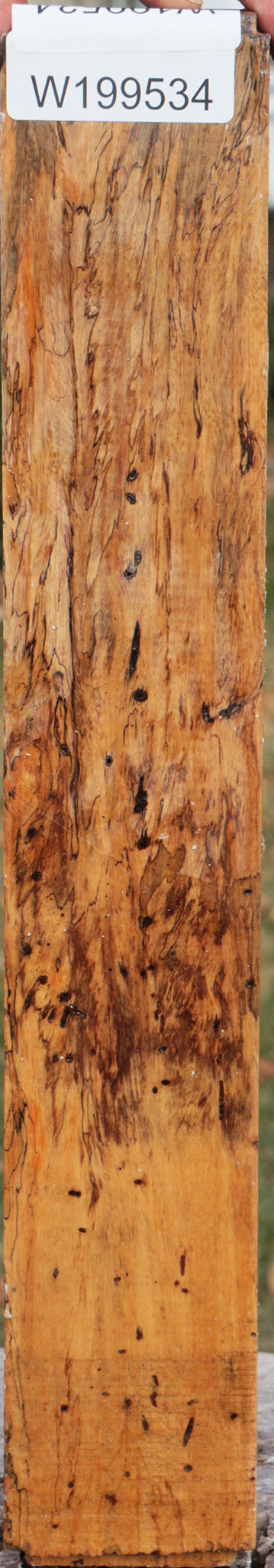 Spalted Tamarind Peppermill