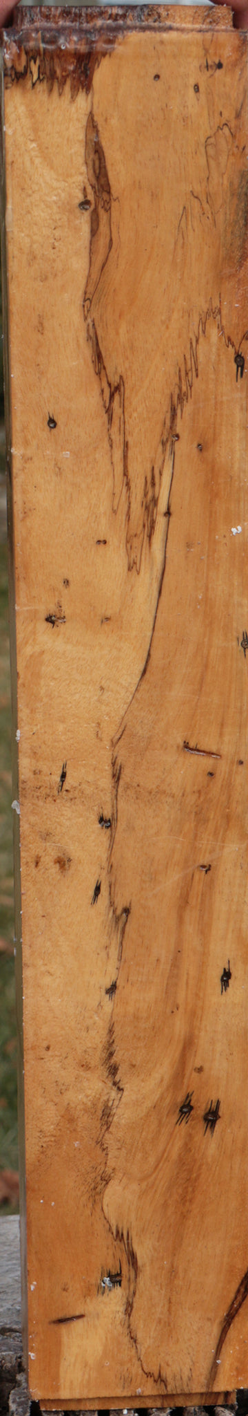 Spalted Tamarind Peppermill