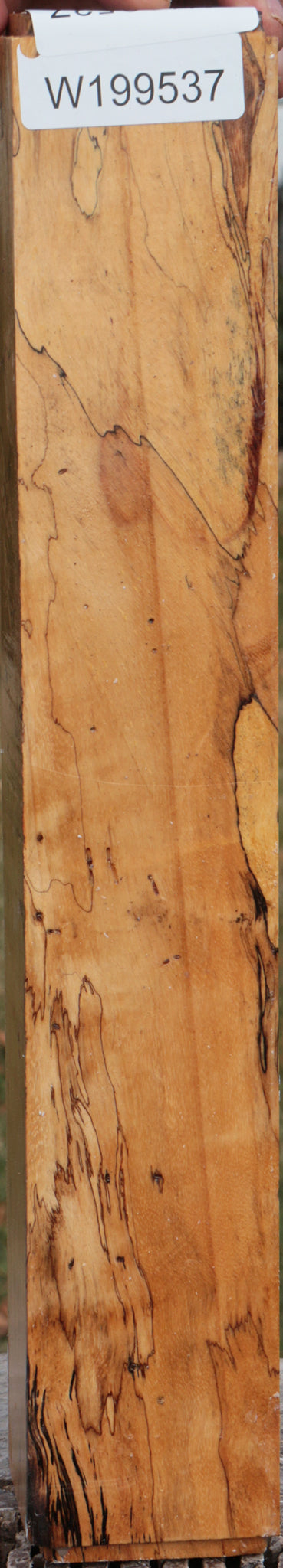 Spalted Tamarind Peppermill