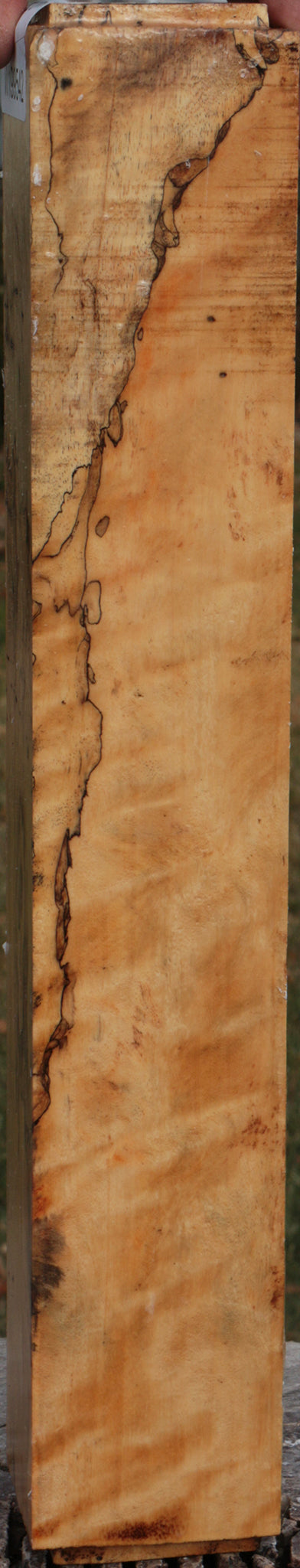 Spalted Tamarind Peppermill