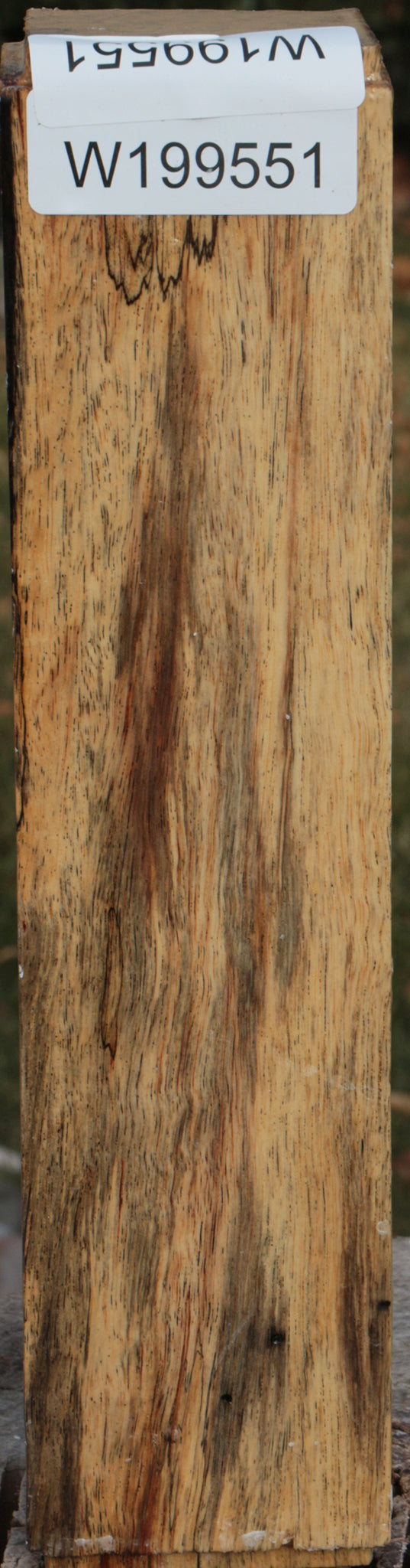 Spalted Tamarind Peppermill