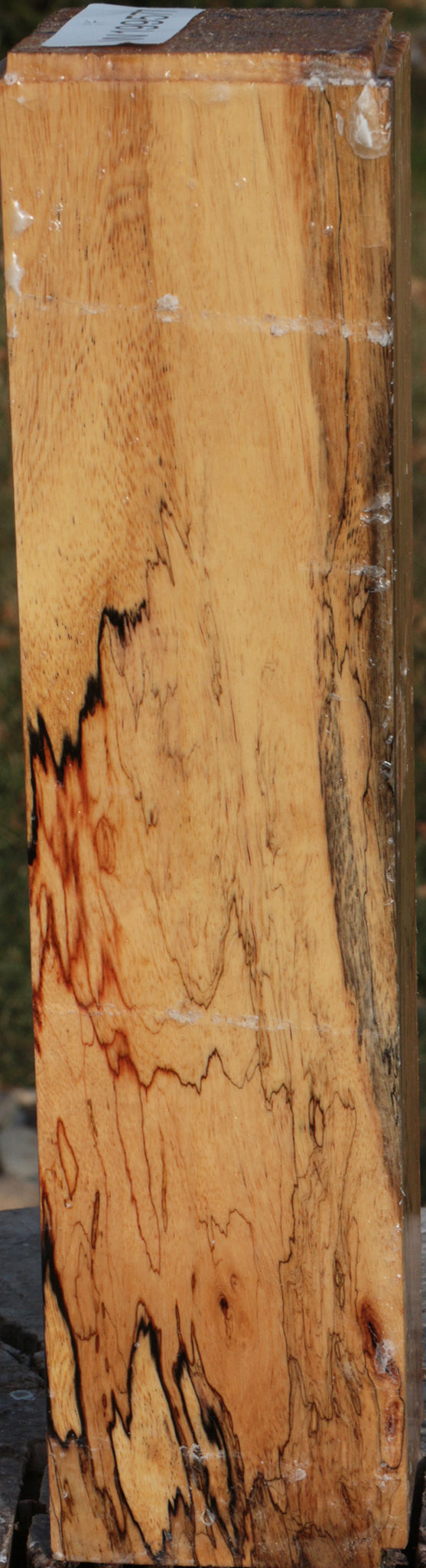 Extra Fancy Spalted Tamarind Peppermill