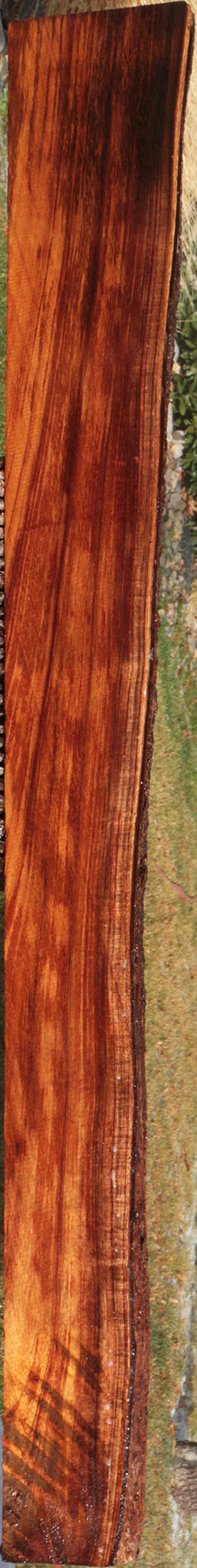 Hawaiian Koa Live Edge Lumber