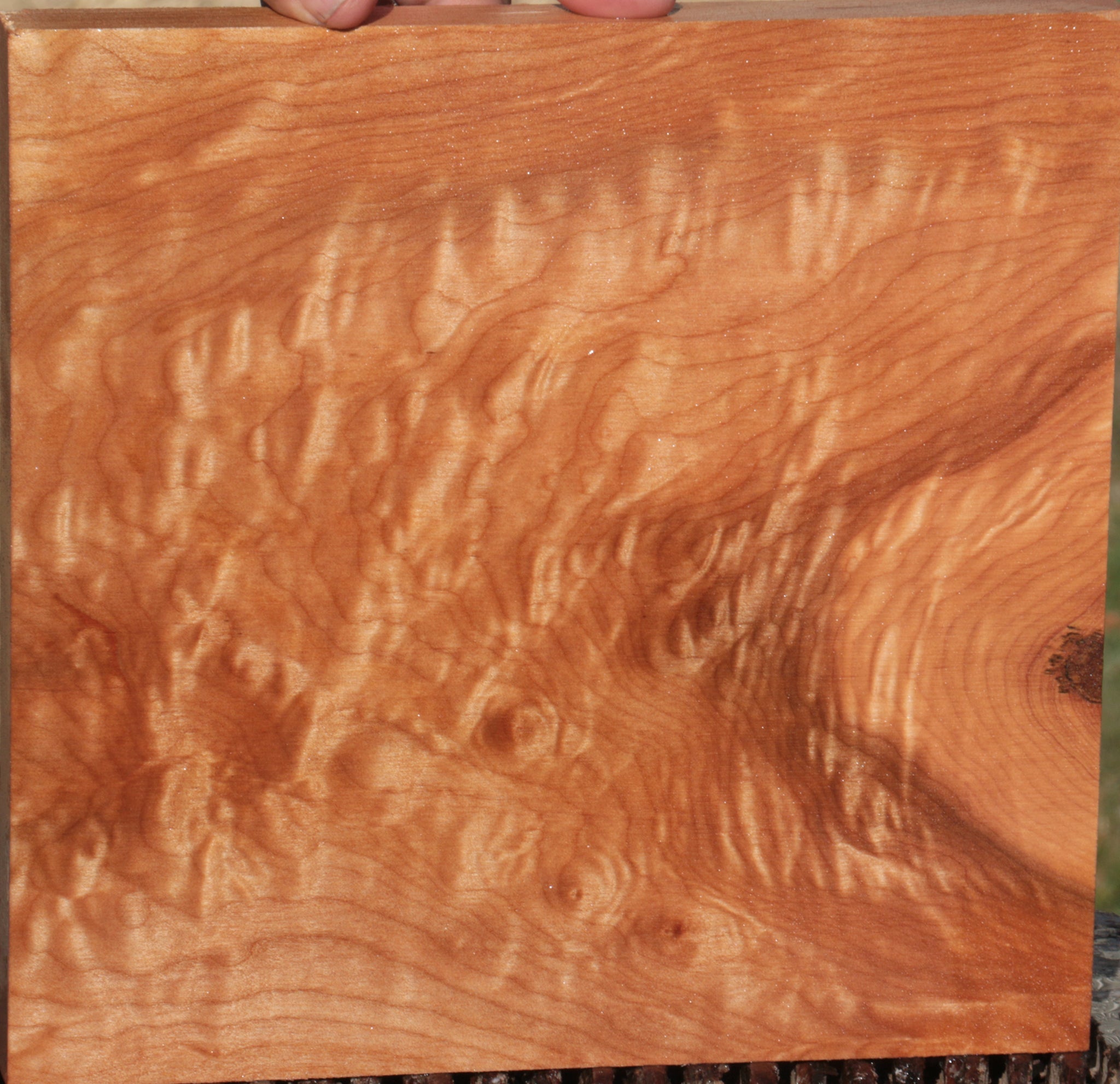 Quilted Maple – Cook Woods