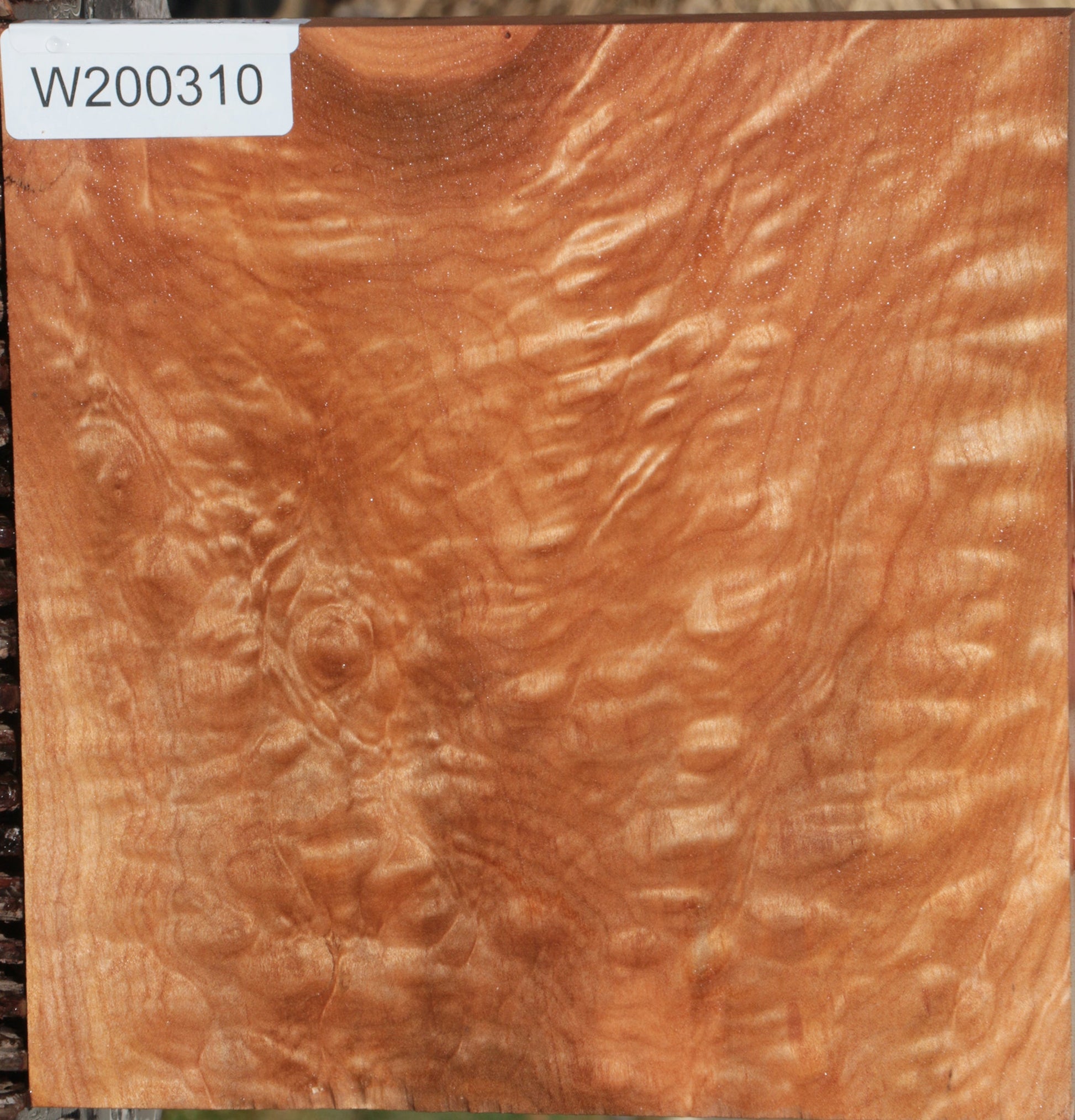 Quilted Maple – Cook Woods