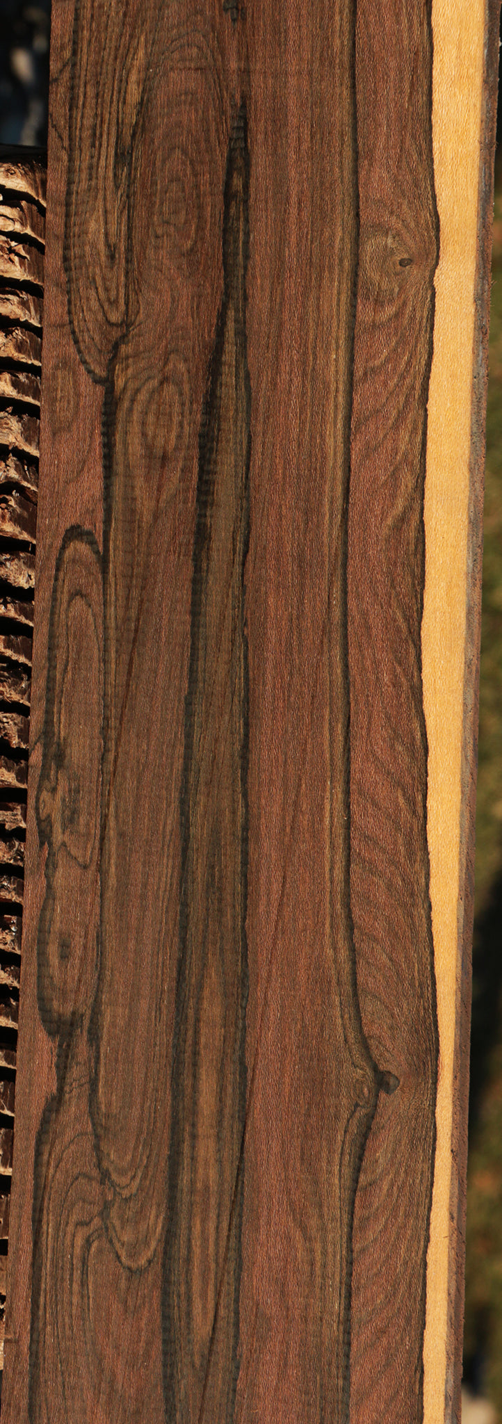 Ziricote Instrument Lumber