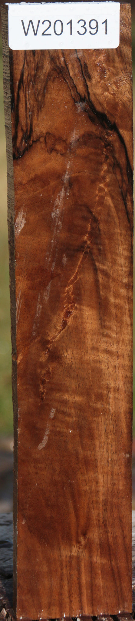 Fiddleback English Walnut Lumber