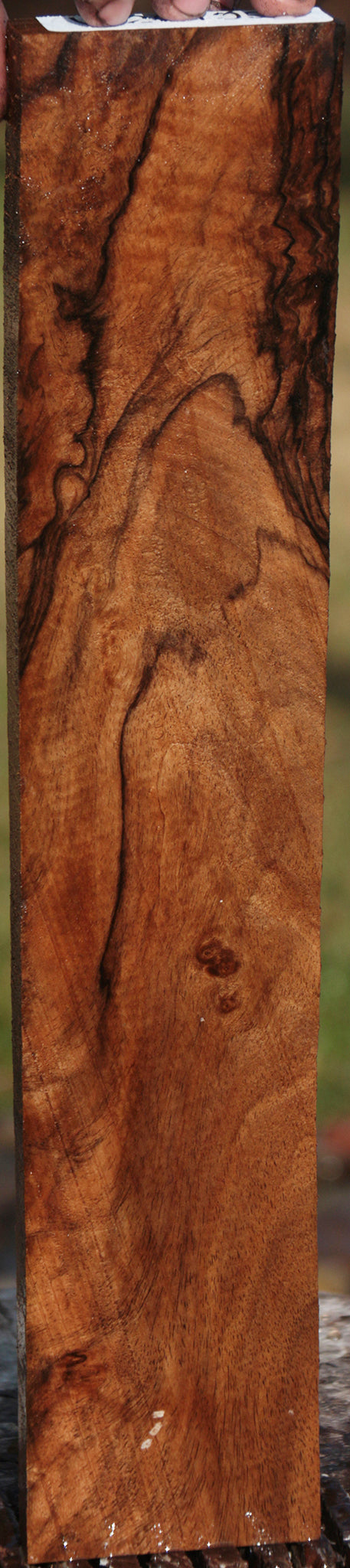 Fiddleback English Walnut Lumber