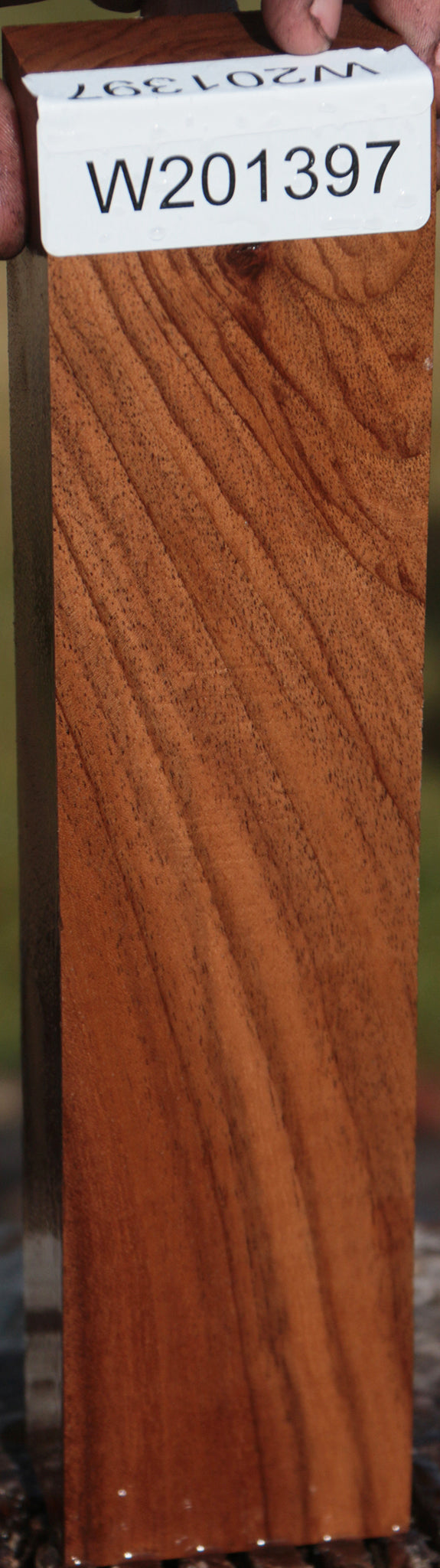 English Walnut Lumber