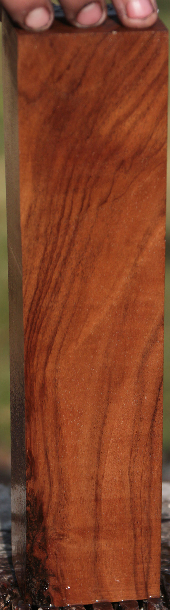 English Walnut Lumber