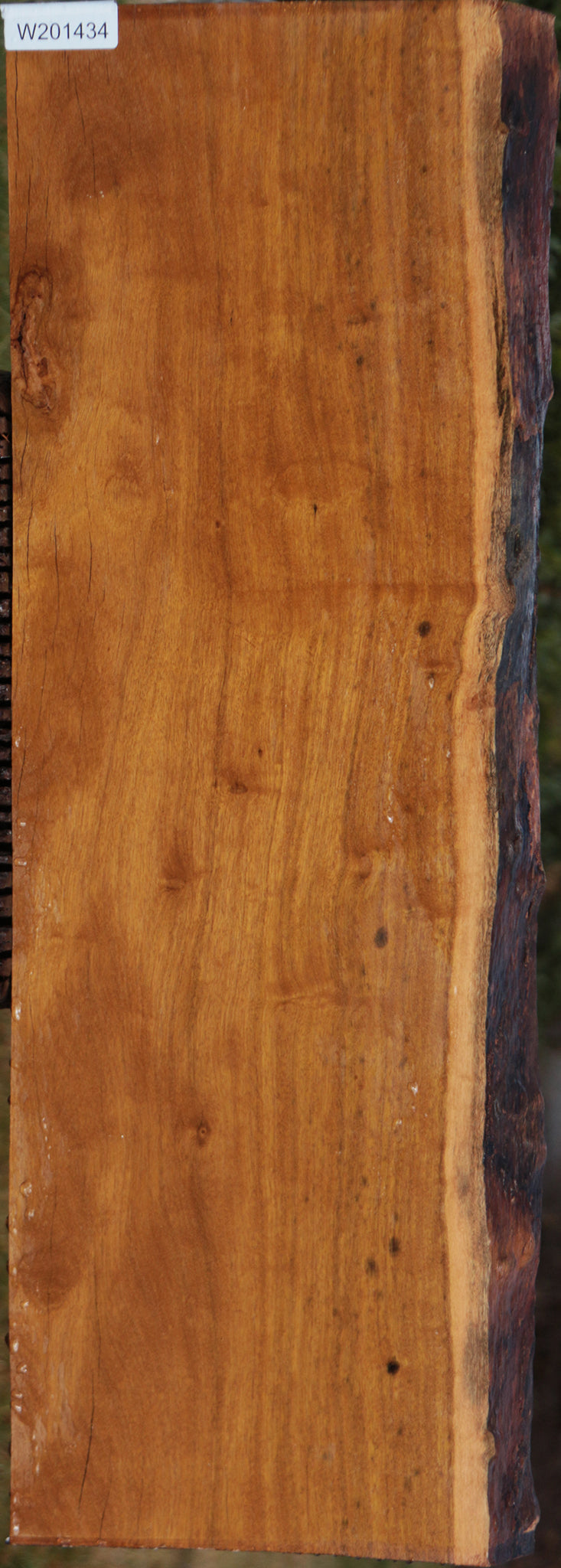 Itauba Live Edge Lumber