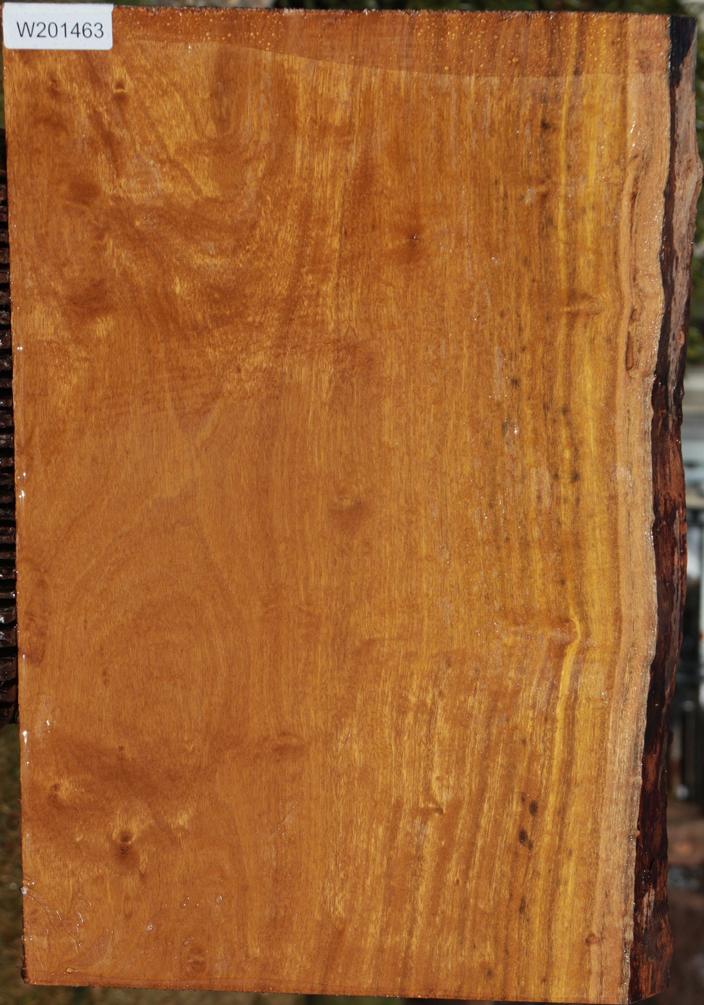 Itauba Live Edge Lumber