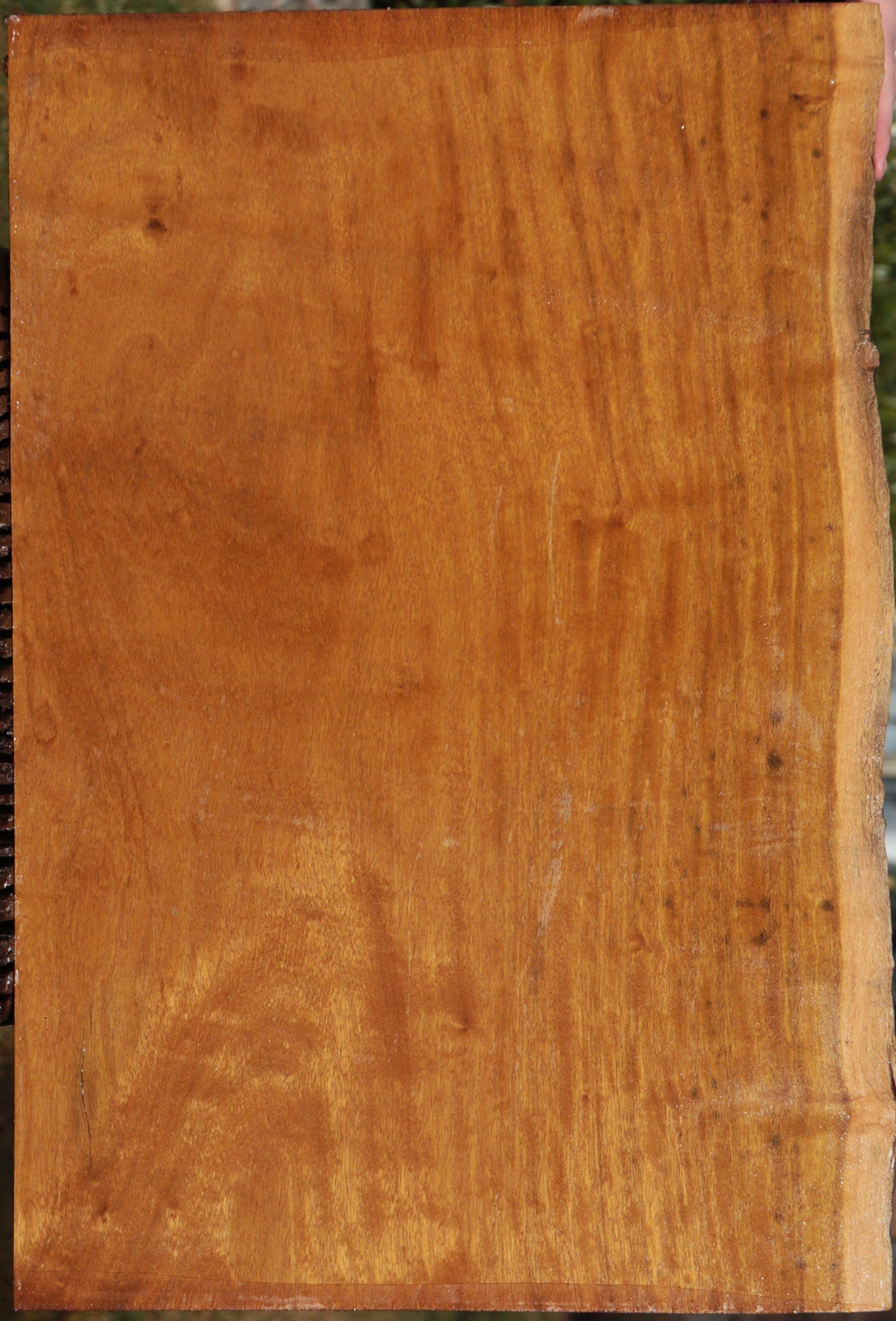 Itauba Live Edge Lumber