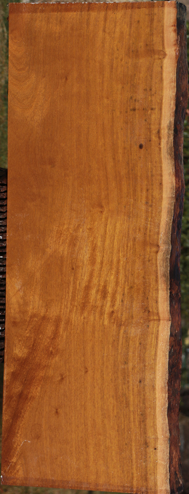 Itauba Live Edge Lumber