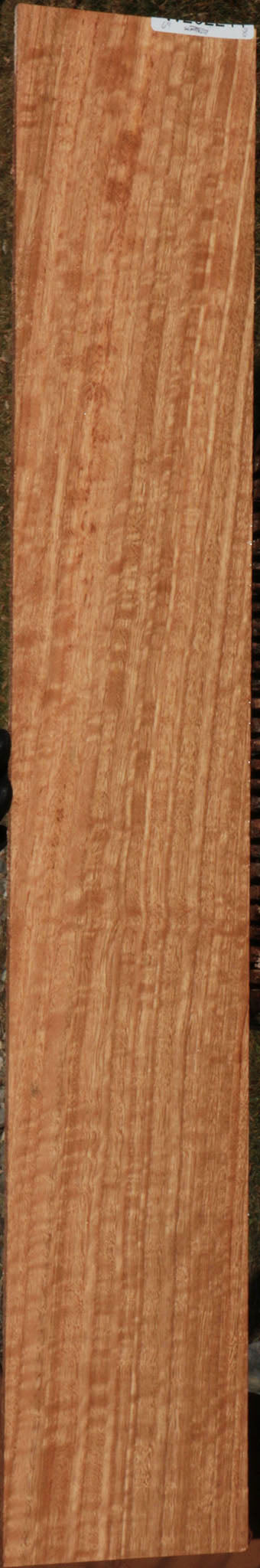 Extra Fancy Blue Gum Micro Lumber