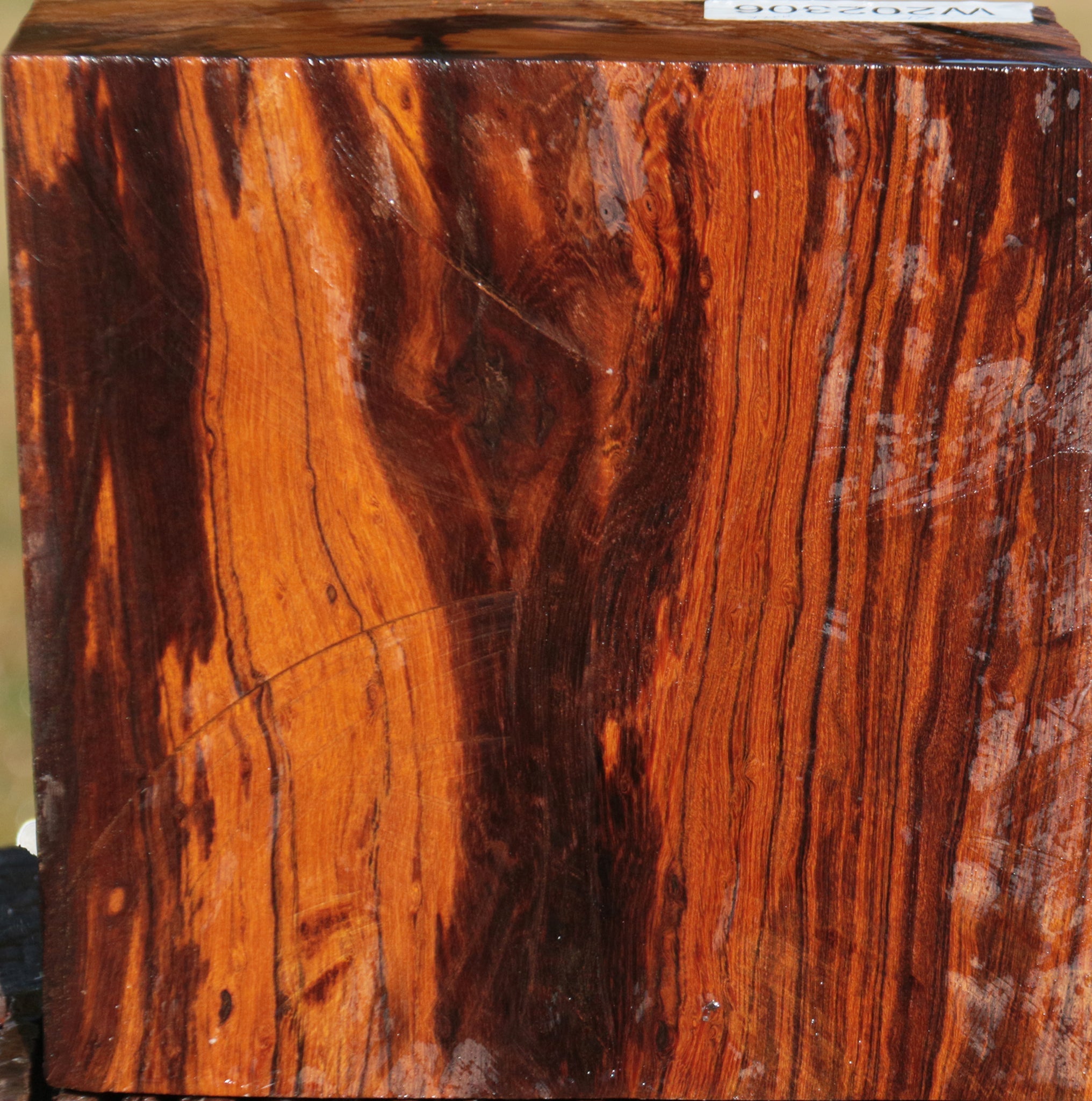 Bowl Blanks – Cook Woods