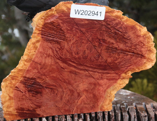 Red Mallee Burl Cap