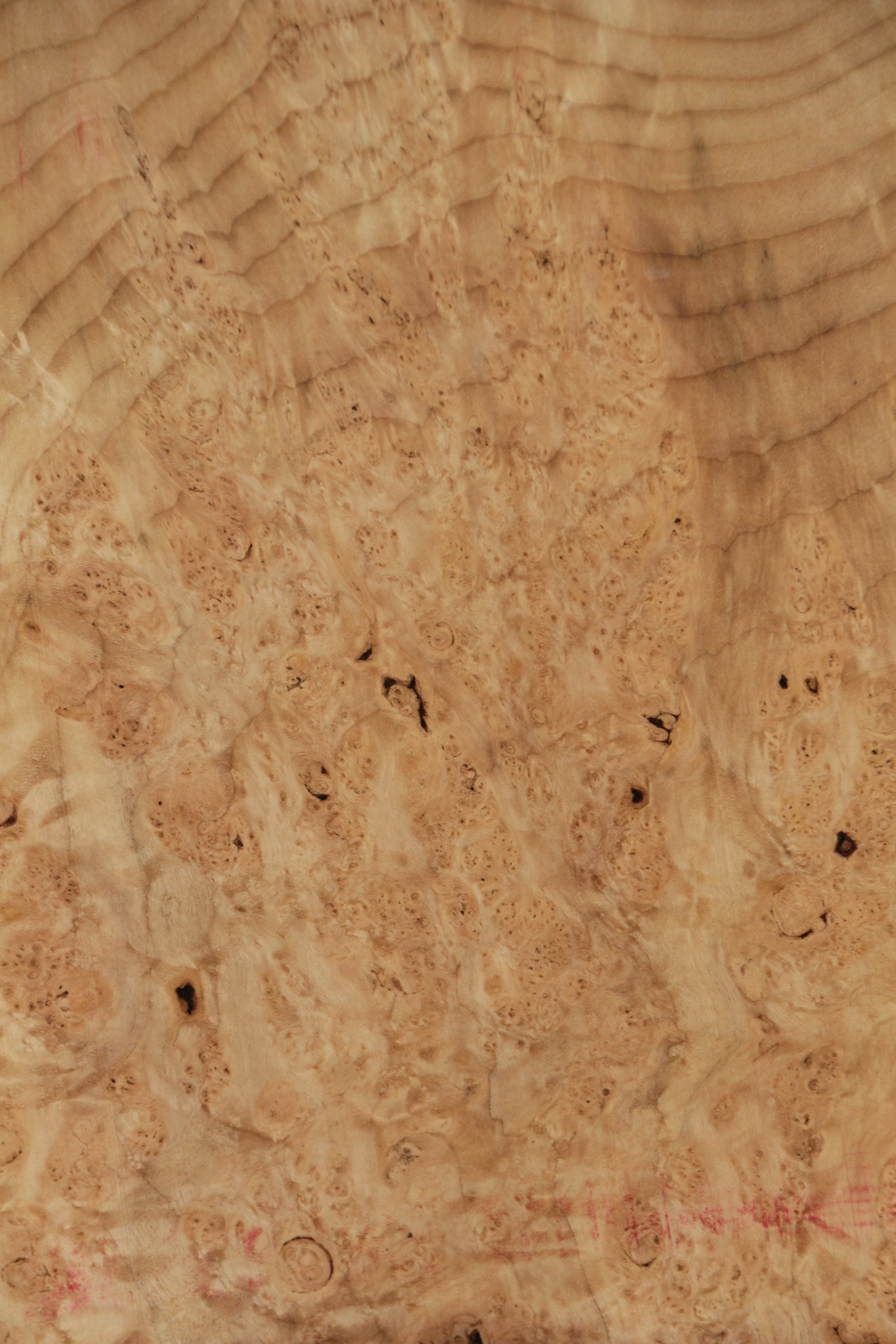 Myrtle Burl Lumber