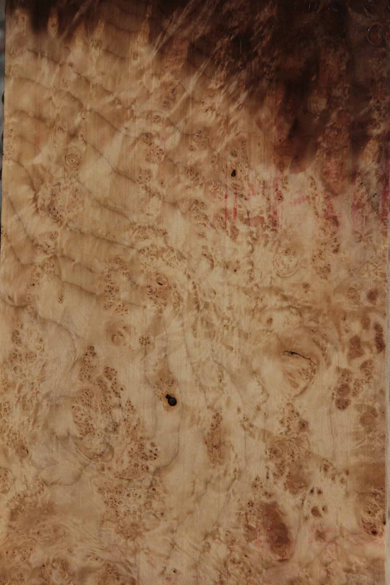 Myrtle Burl Instrument Lumber