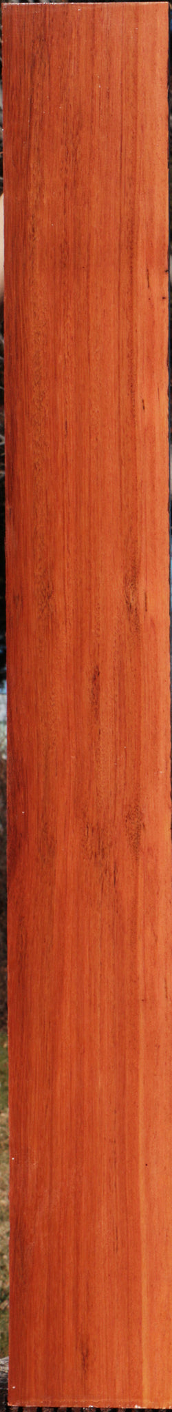 Bloodwood Lumber