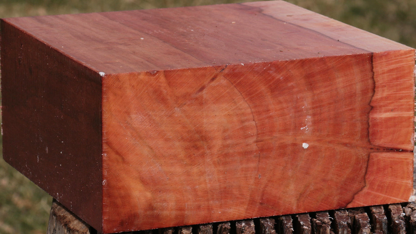 Beefwood Bowl Blank