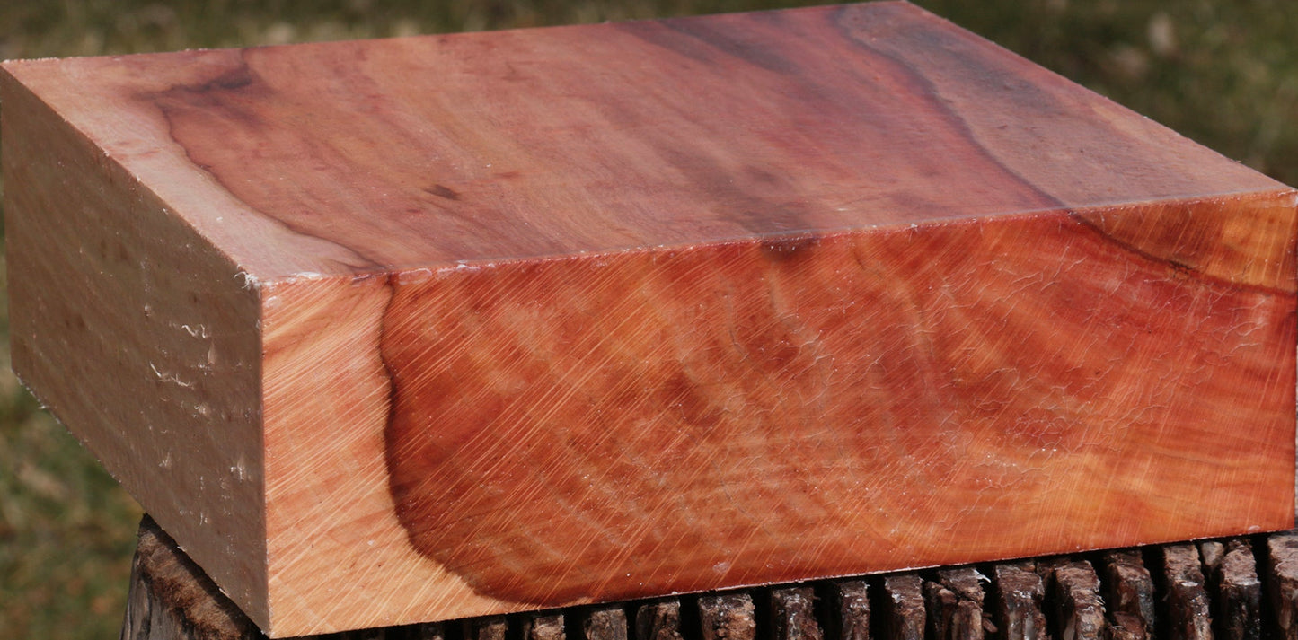 Beefwood Bowl Blank