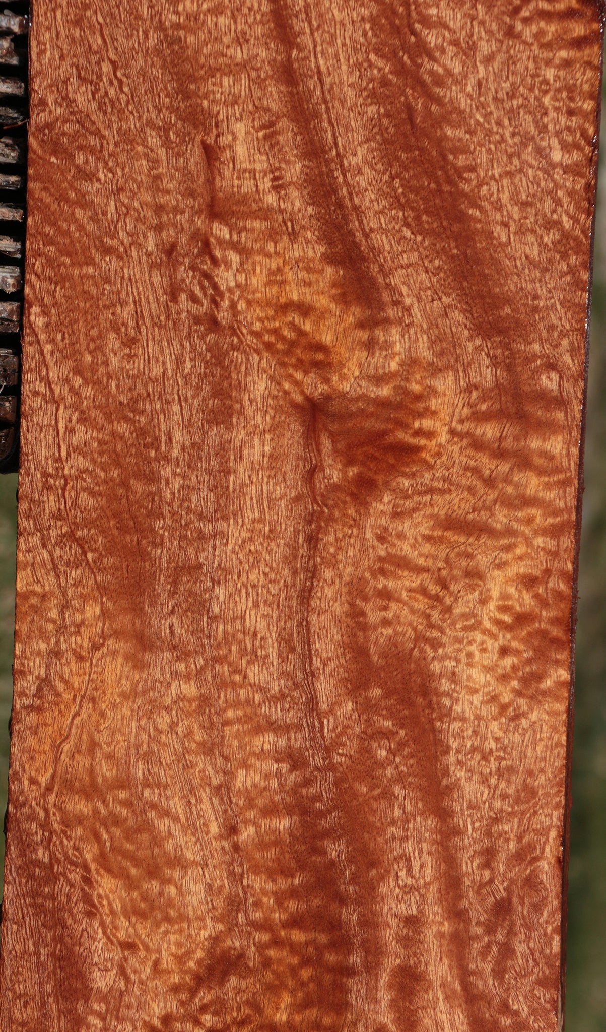 Exhibition Sapele Lumber