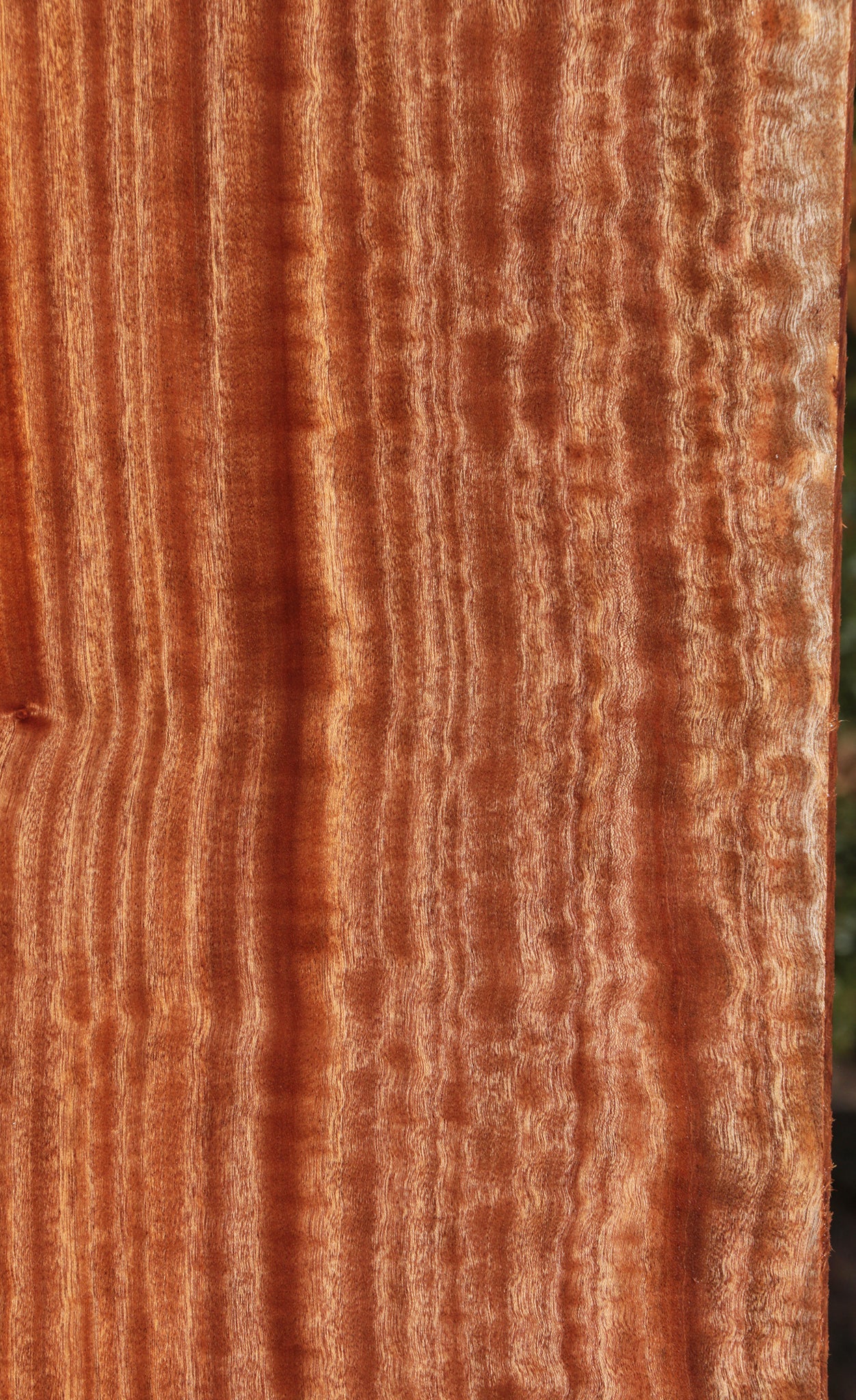 Extra Fancy Sapele Lumber