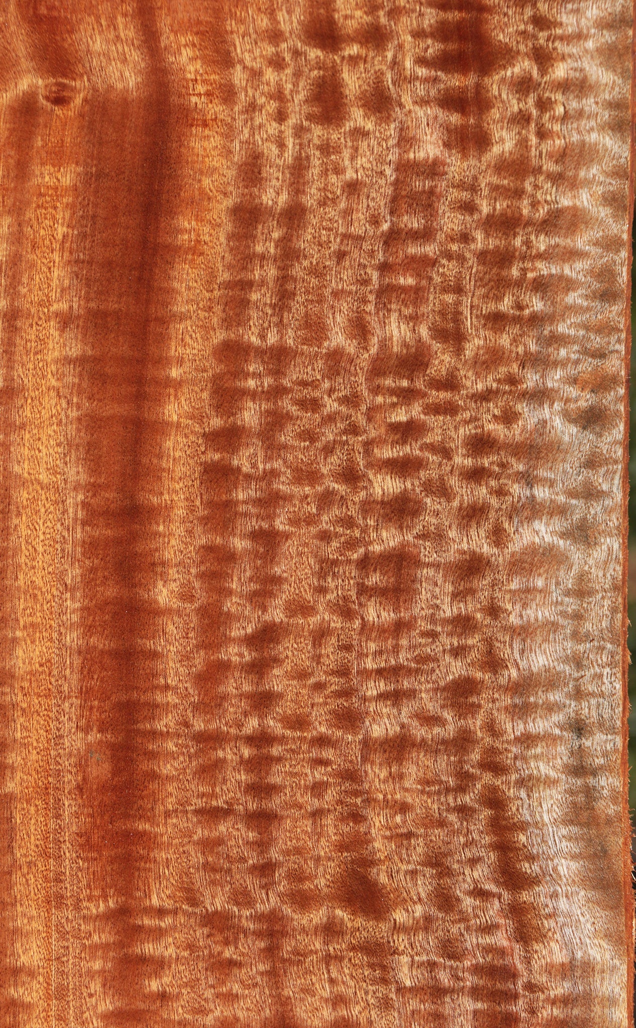 Extra Fancy Sapele Lumber