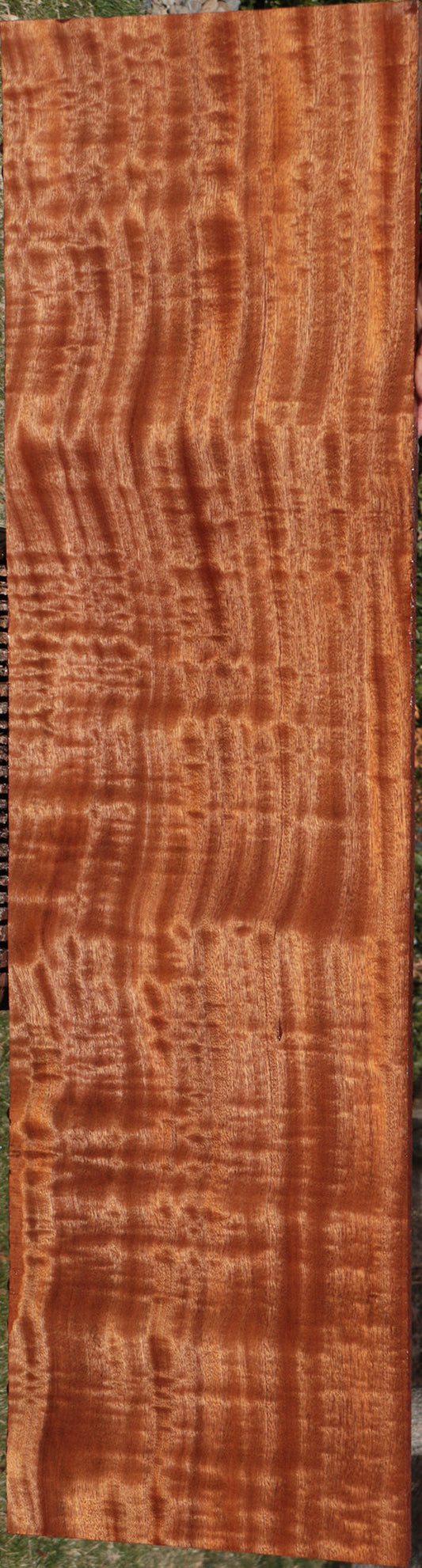 Extra Fancy Sapele Lumber