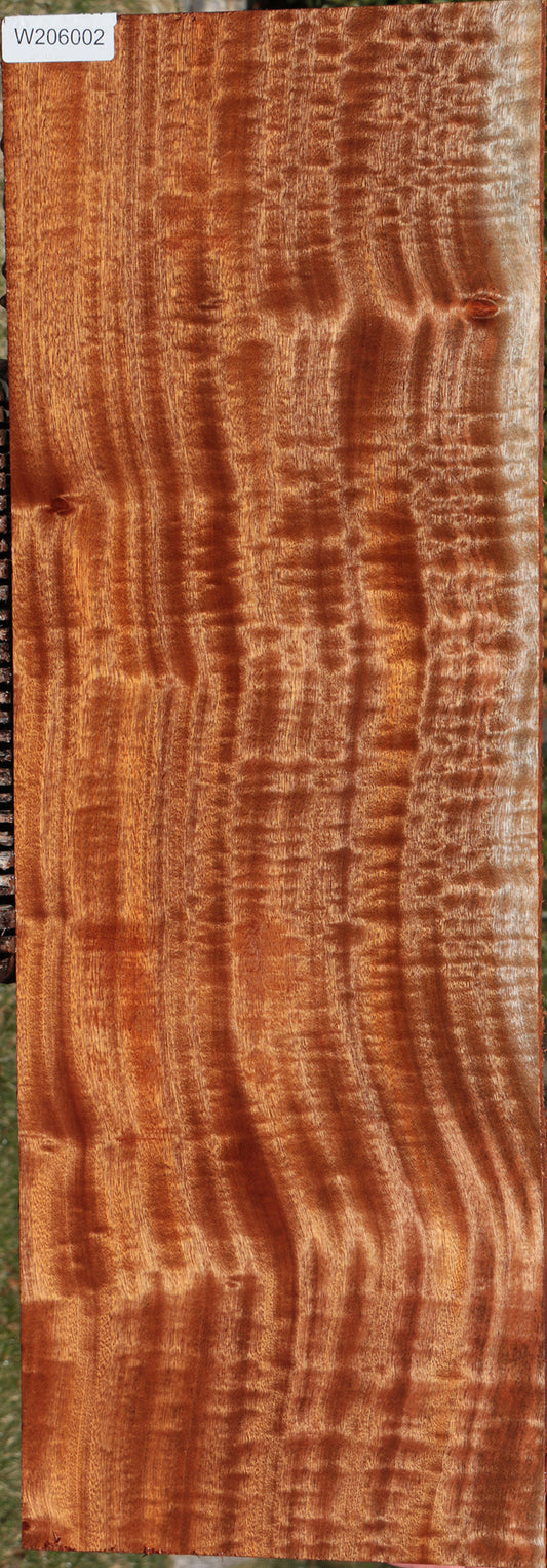 Exhibition Sapele Lumber