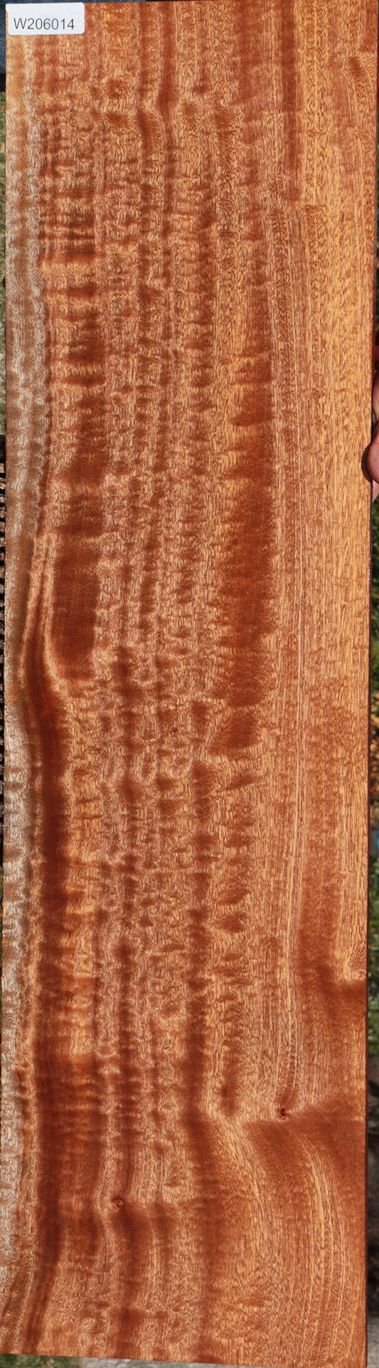 Exhibition Sapele Lumber