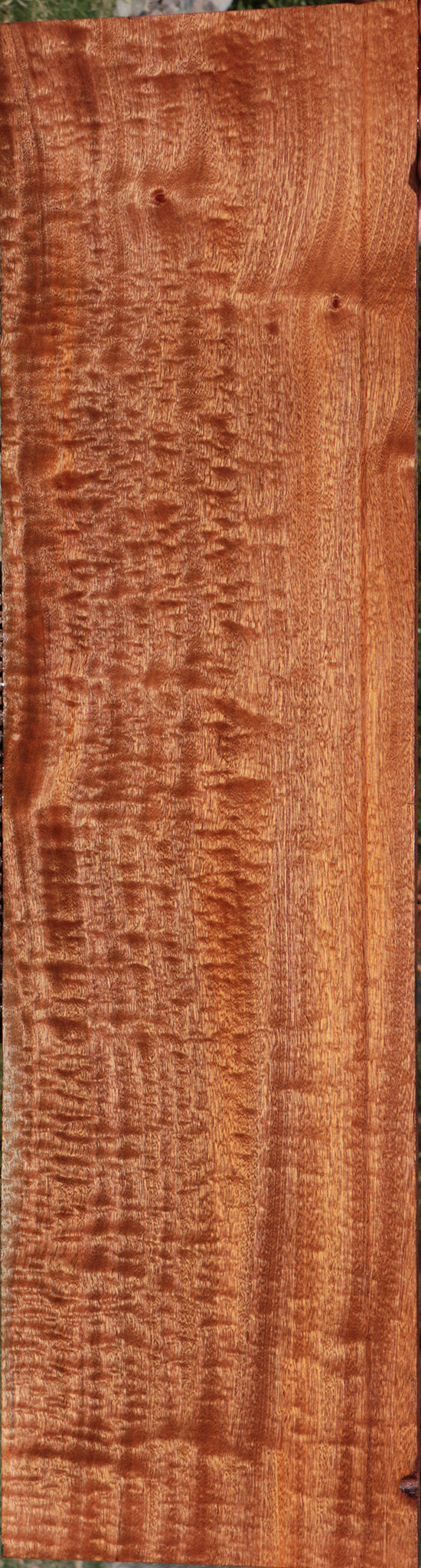 Exhibition Sapele Lumber