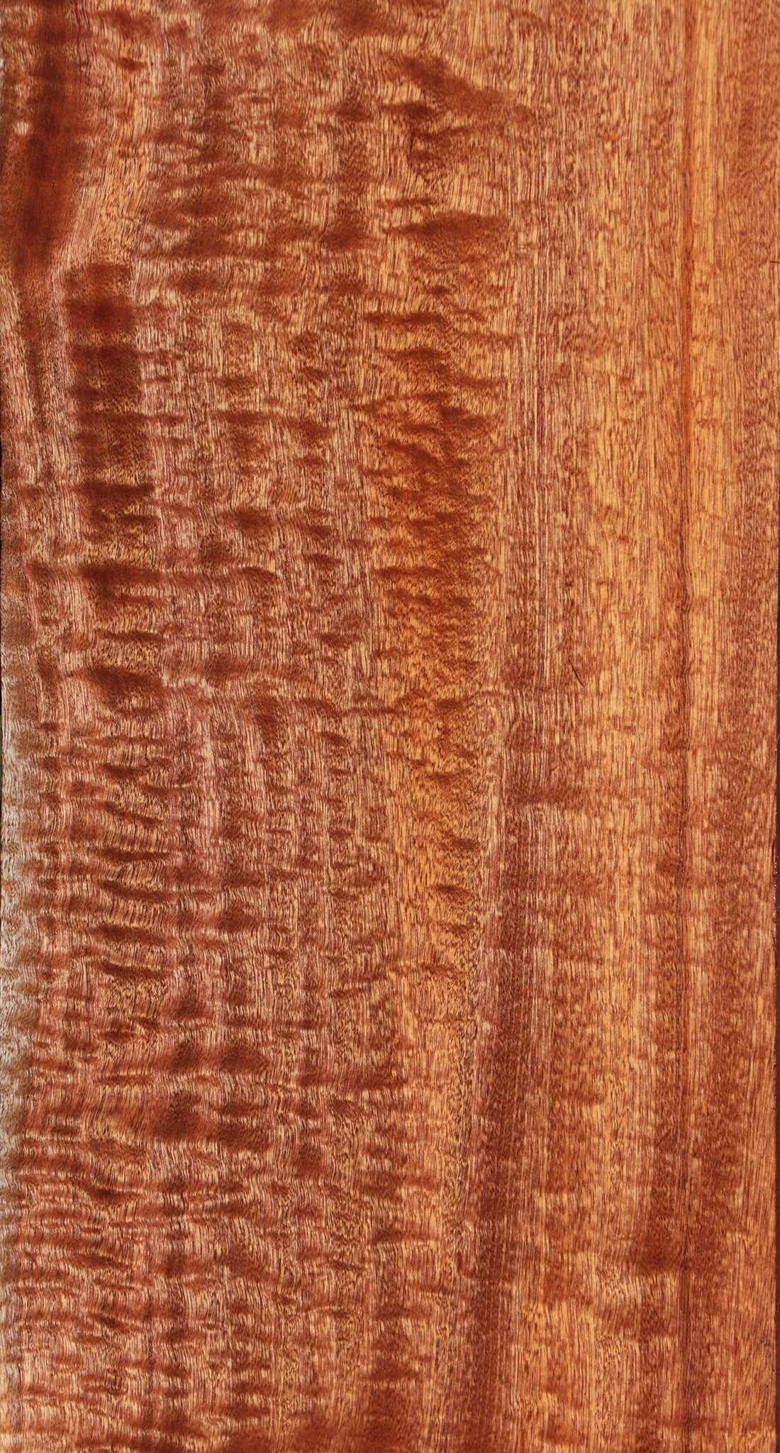 Exhibition Sapele Lumber