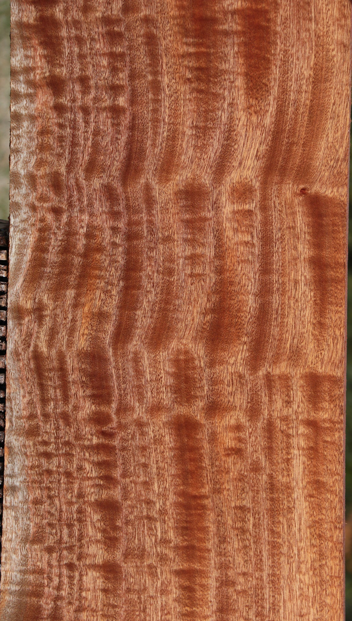 Exhibition Sapele Lumber