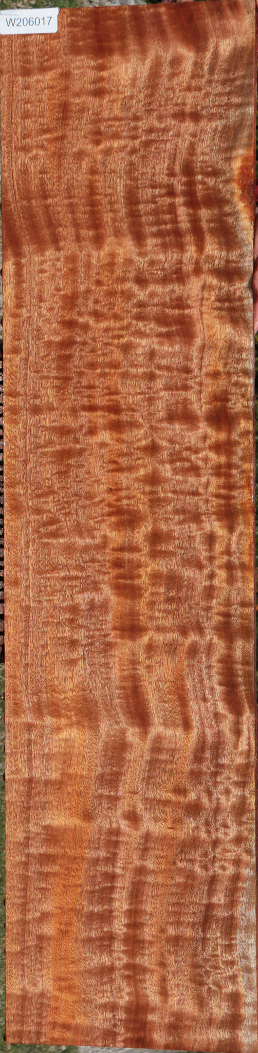 Exhibition Sapele Lumber