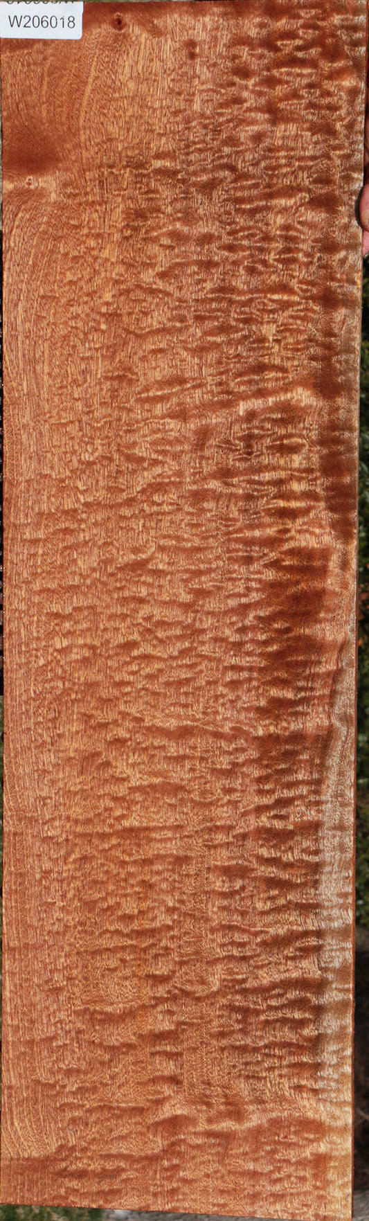 Exhibition Sapele Lumber