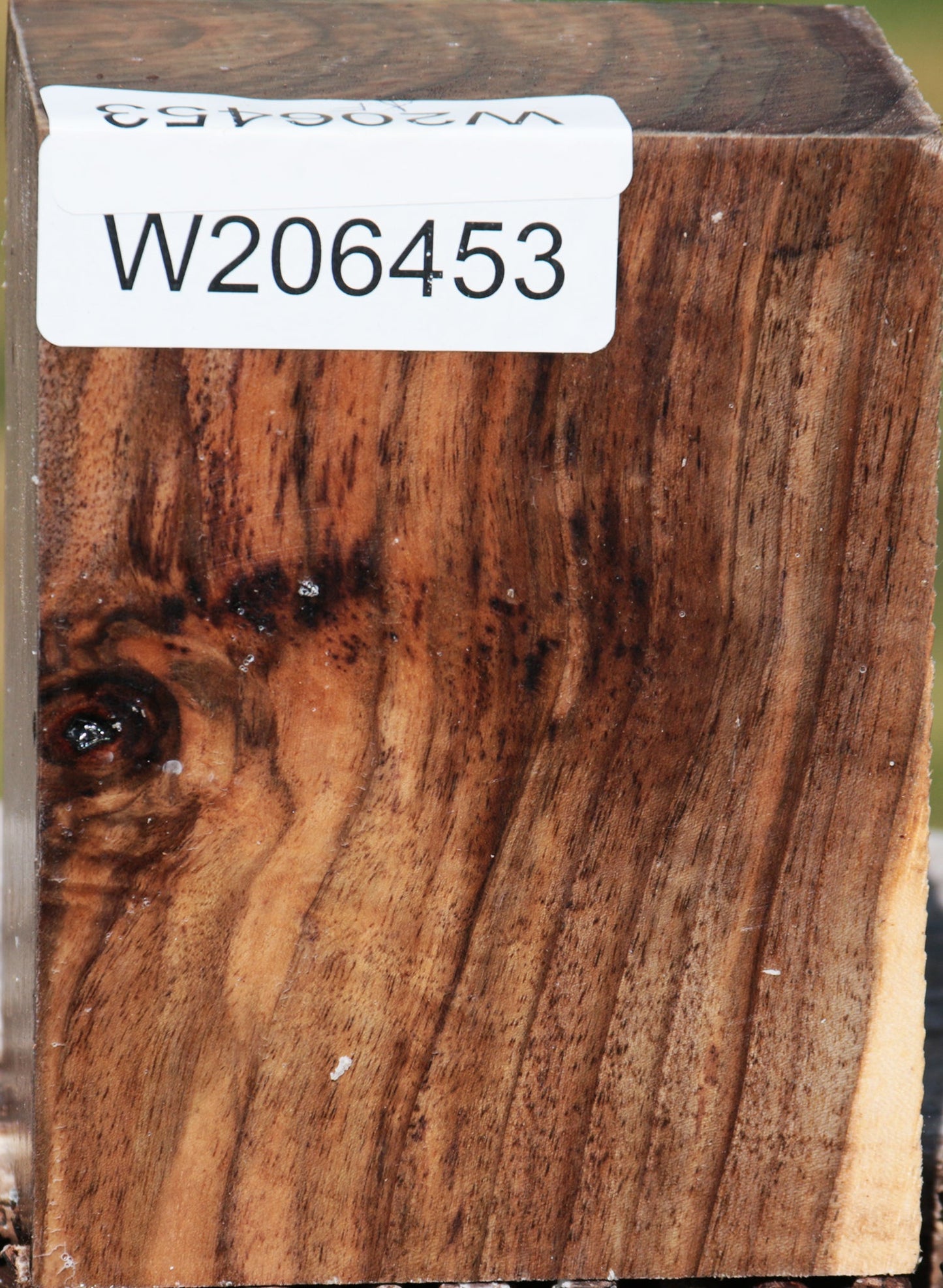 English Walnut Turning Blank