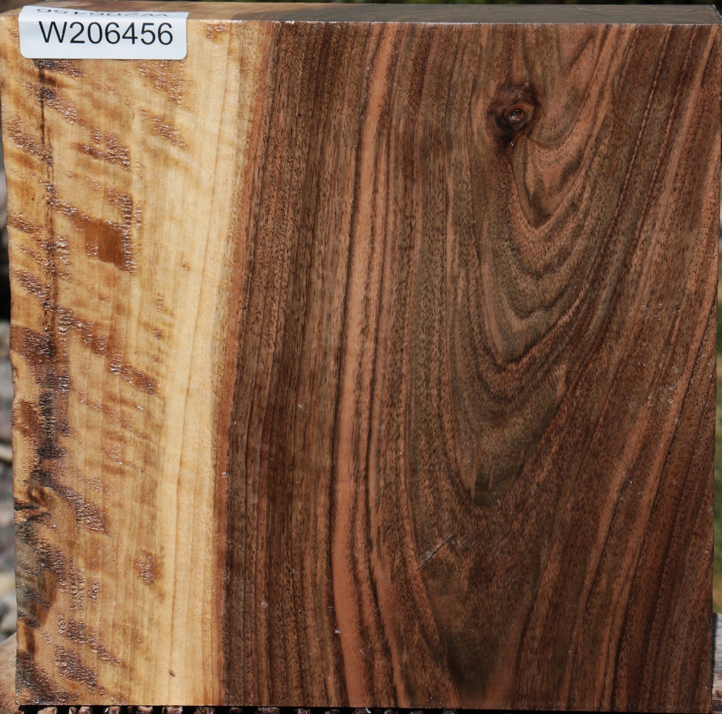 Fiddleback English Walnut Live Edge Bowl Blank