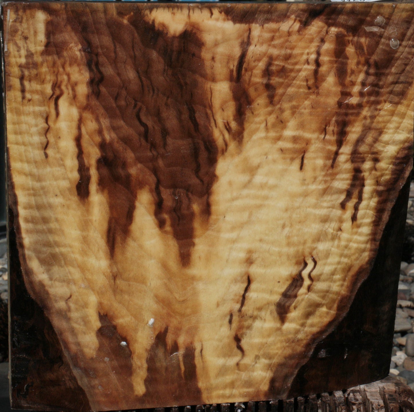 Extra Fancy Fiddleback English Walnut Live Edge Bowl Blank