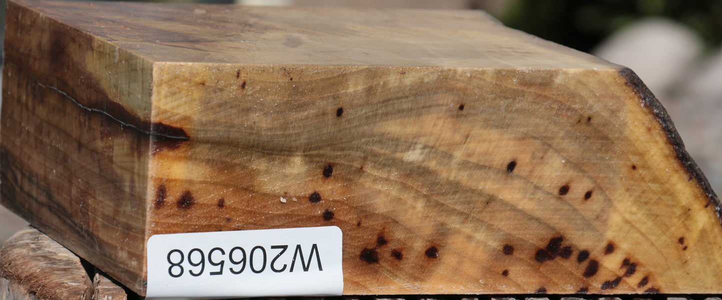 Extra Fancy Fiddleback English Walnut Live Edge Bowl Blank