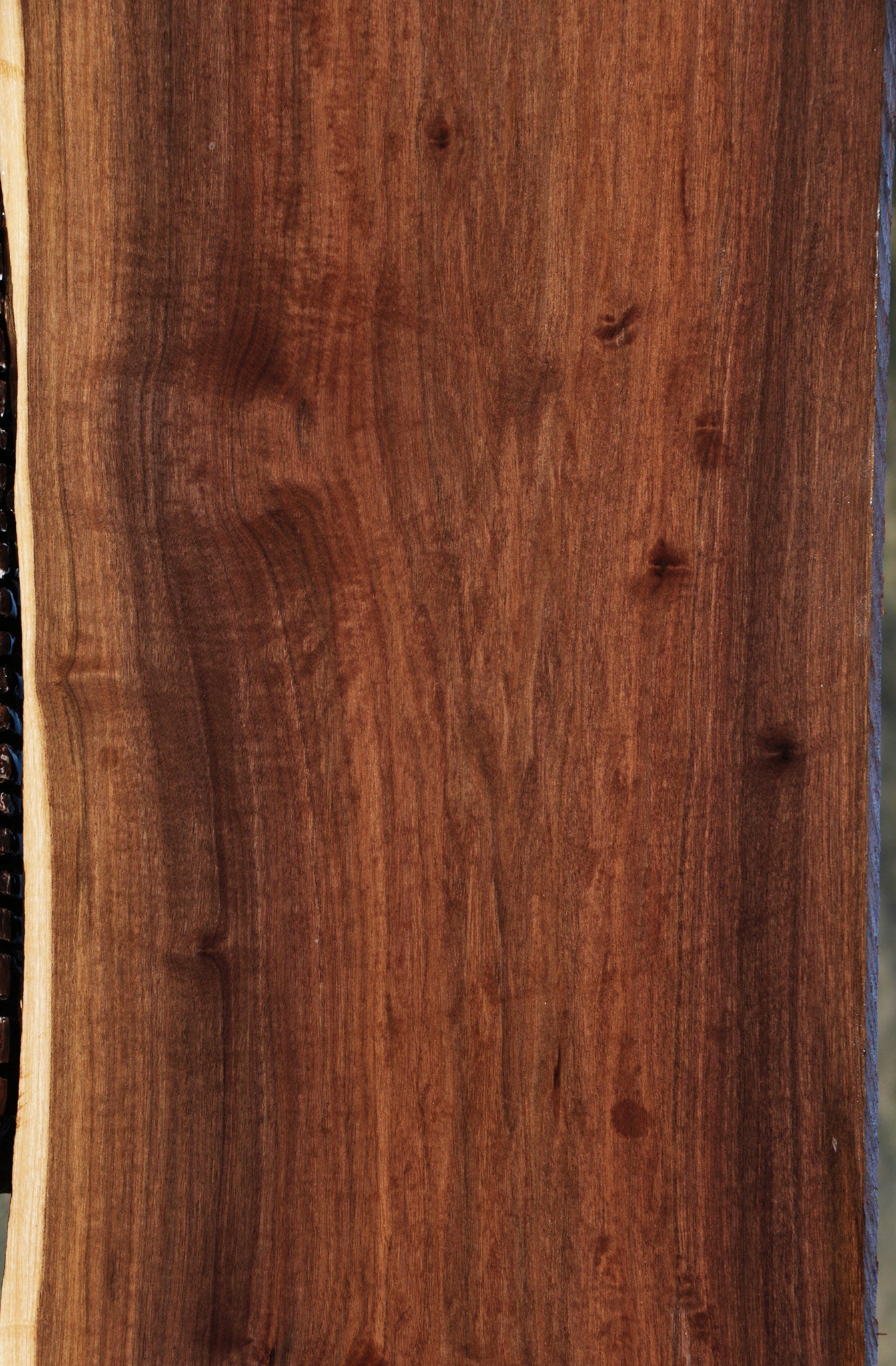 Mansonia Live Edge Lumber