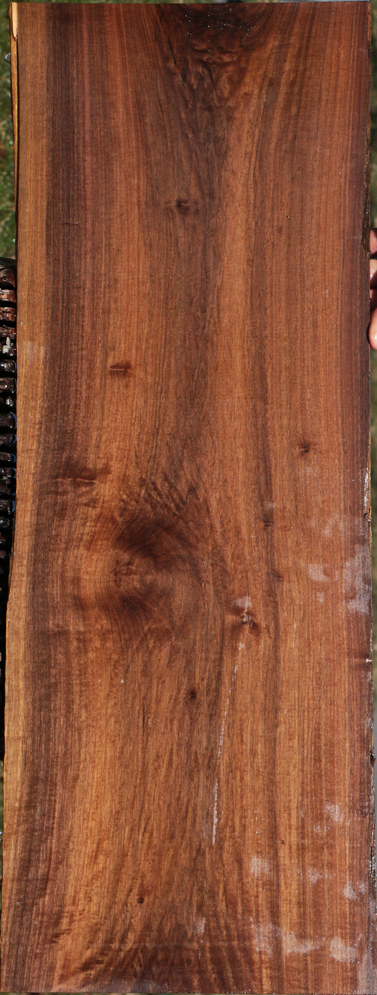 Mansonia Live Edge Lumber